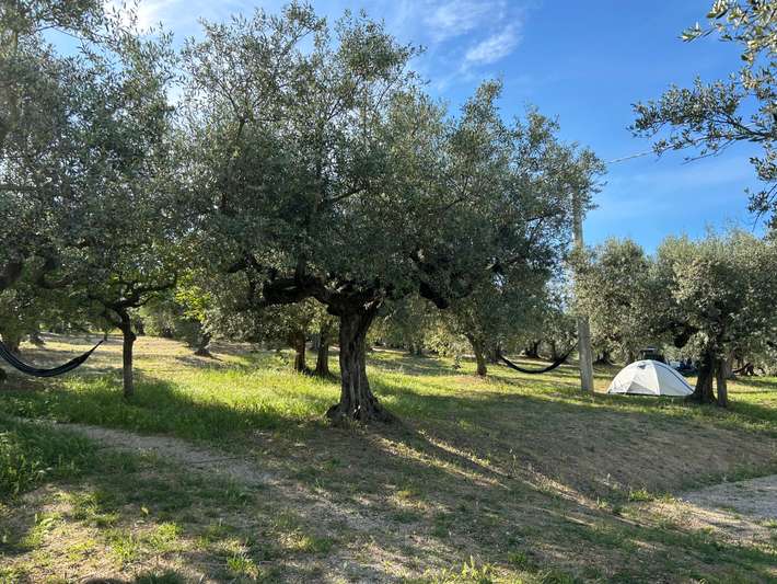 Camping Abruzzo Las Hamacas