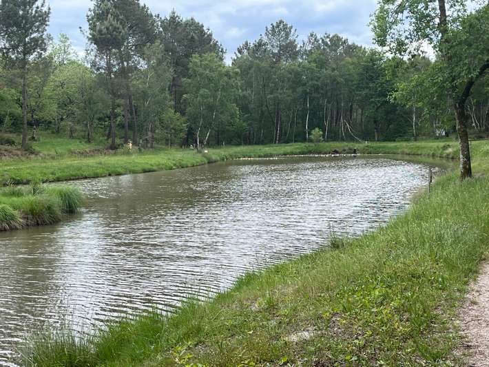 Etang de Robinson