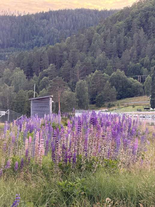 Added a photo to a location