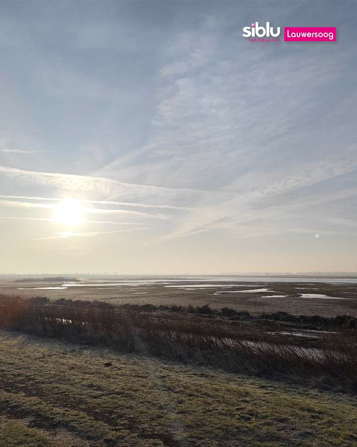 Camping Lauwersoog, Siblu