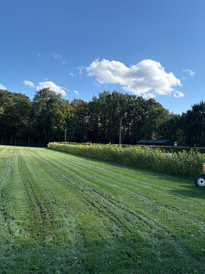 Minicamping Looierheide