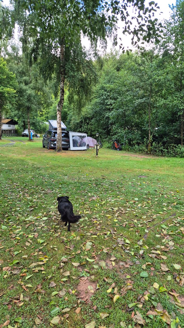 Campingplatz Weißenthalsmühle