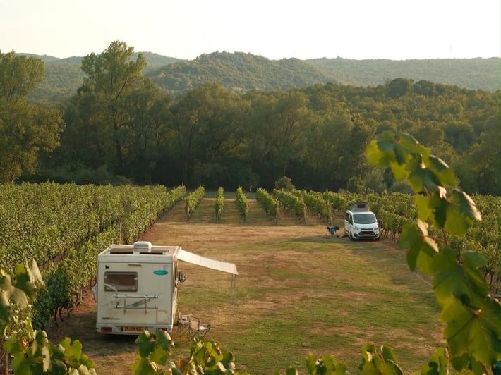 Purple Eye Estate - Camp & Winery