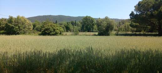 Added a photo to a location