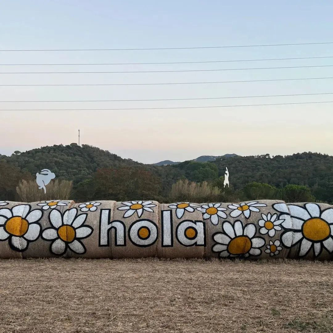 Camping Ridaura