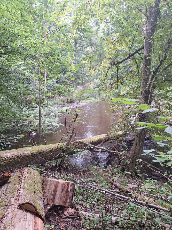 Intercamp Pieniezno