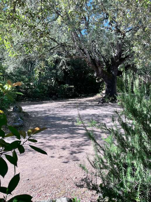 Ajout d'une photo à un emplacement