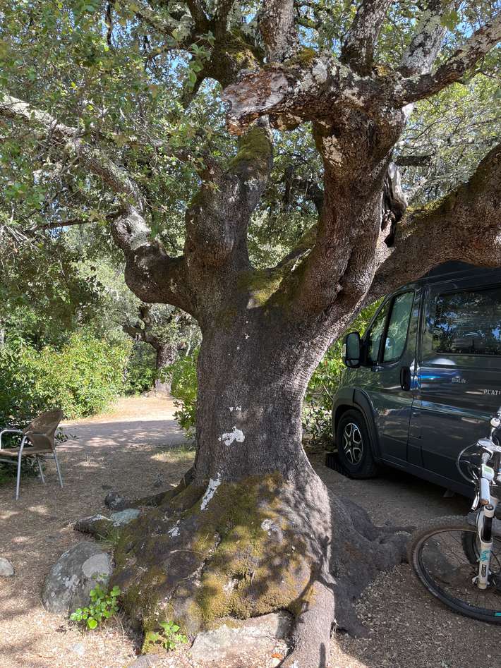 Camping A Tizarella