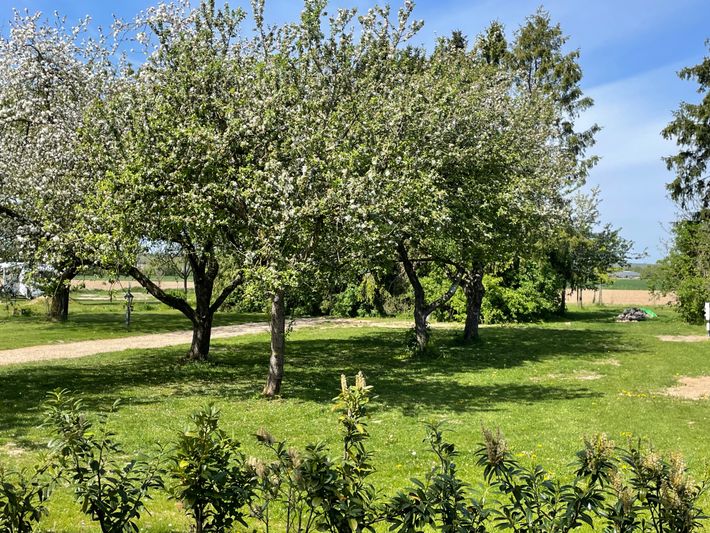 Camperplaats Ompert