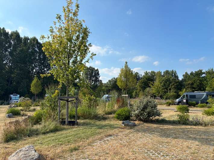 Camperterrein Kapermolen Hasselt