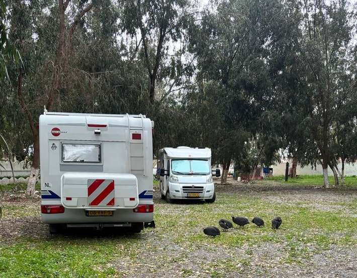 Camping L'Amazone