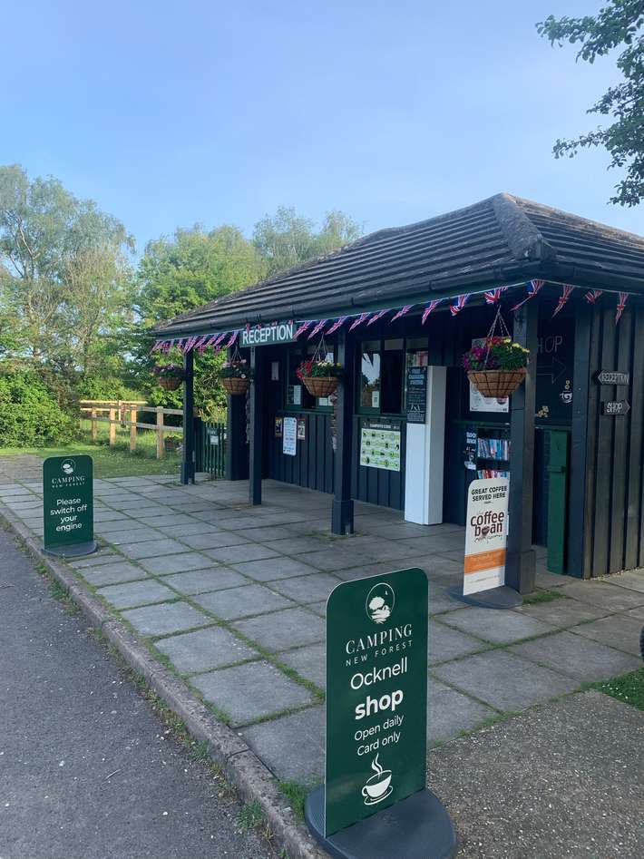 Ocknell Campsite, New Forest