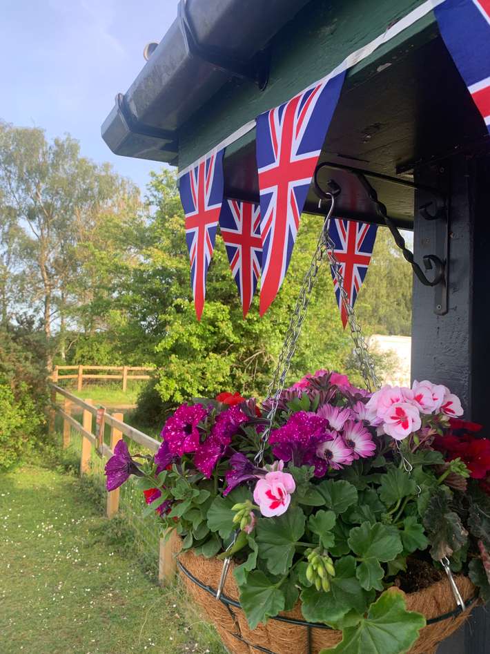 Ocknell Campsite, New Forest