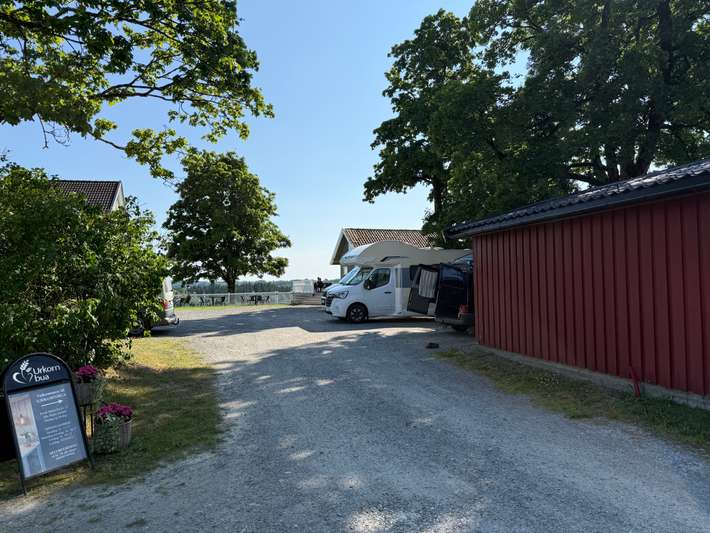 Norsk Urkorn