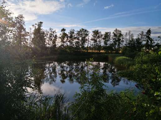 Added a photo to a location