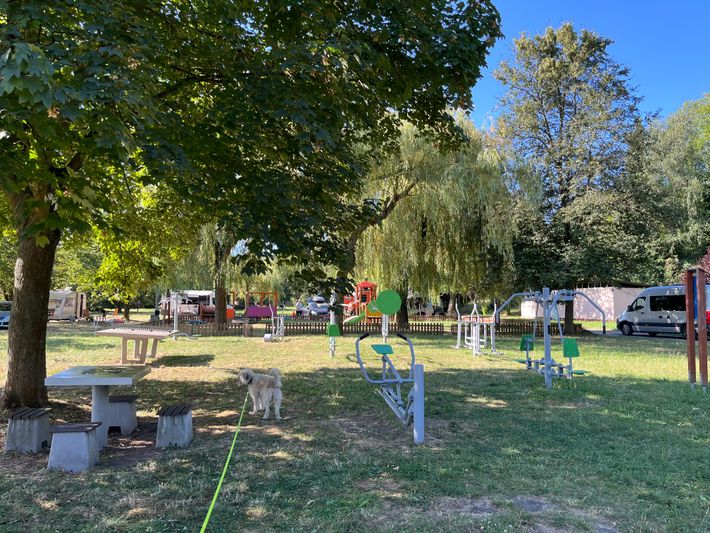 Camping Olimpijski nr. 117