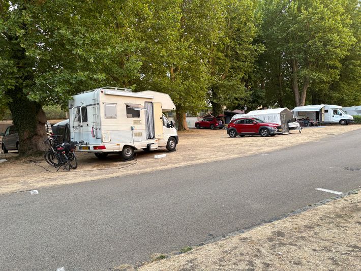 hängematte mit holzgestell ALEOS. AS-S 400cm XXL Luxus Hängemattengestell Caribe aus Holz Lärche Holzhängematte mit Holzstreben und 4 Aufnahmen inkl. Auflage Garten Bikepacking Gabun 2019 – member:49905325899944:3520 Größe:54/56