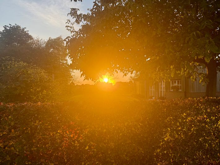 Vlaamse Ardennen koets, 