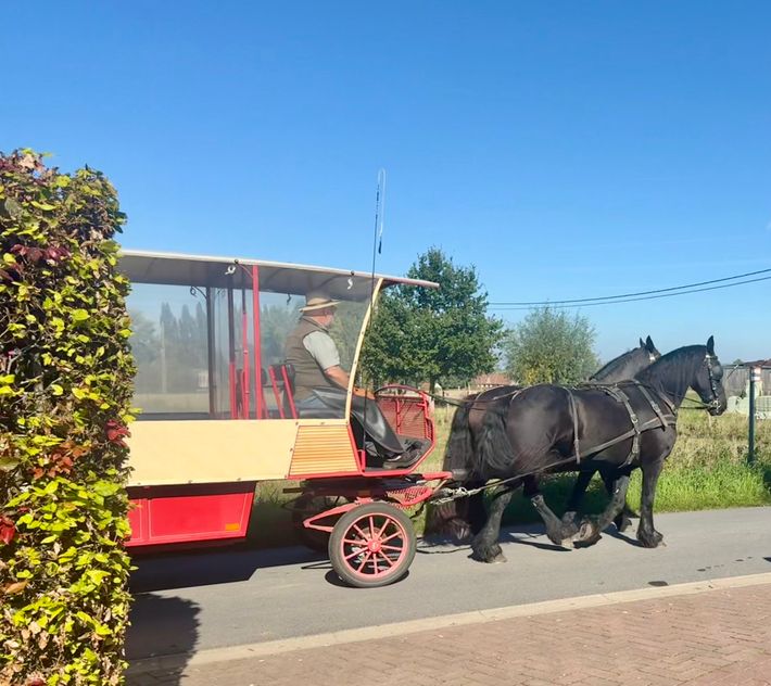 Vlaamse Ardennen koets, 