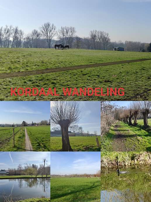 Vlaamse Ardennen koets, 