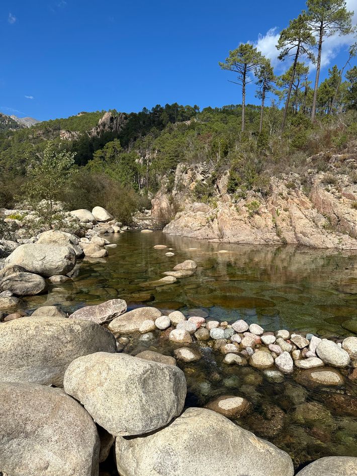 Camping U Ponte Grossu