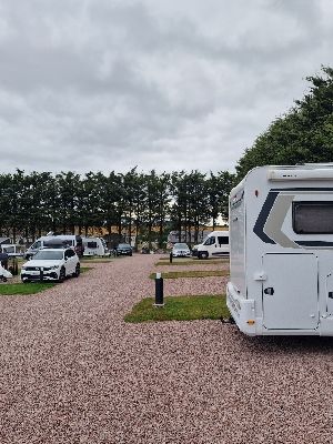 Newbridge Country Park 