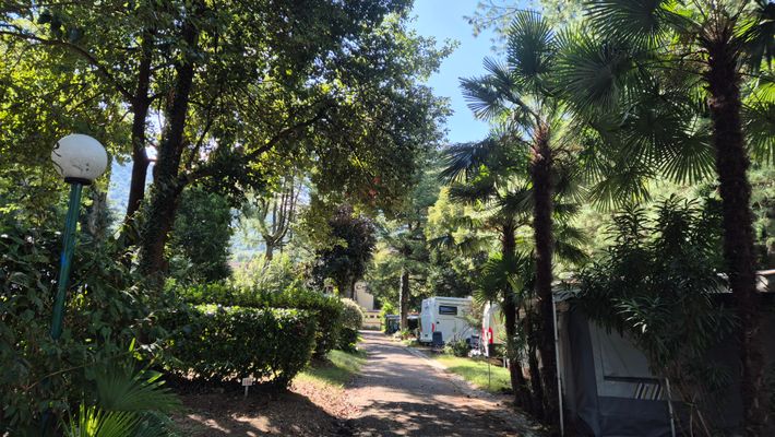 International Camping