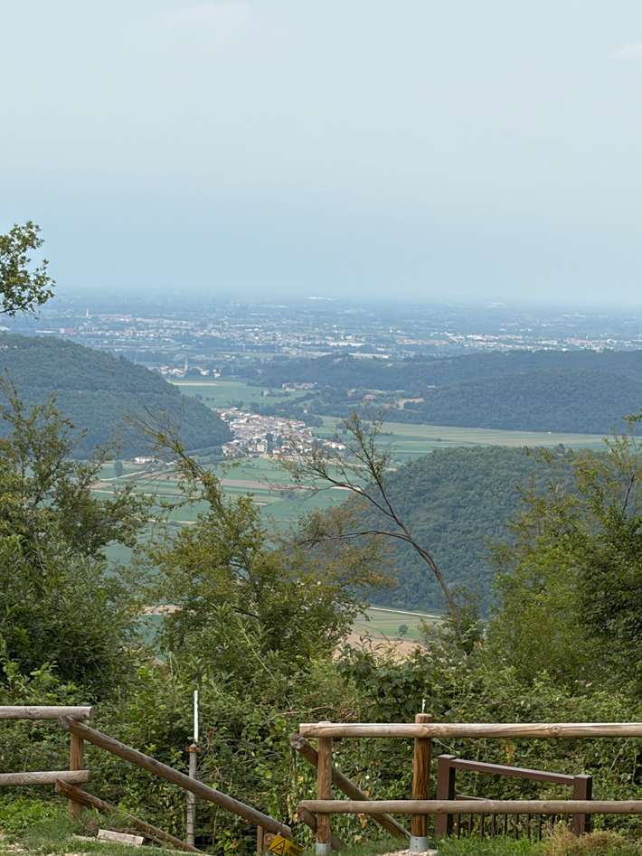 Berici Woods Camping