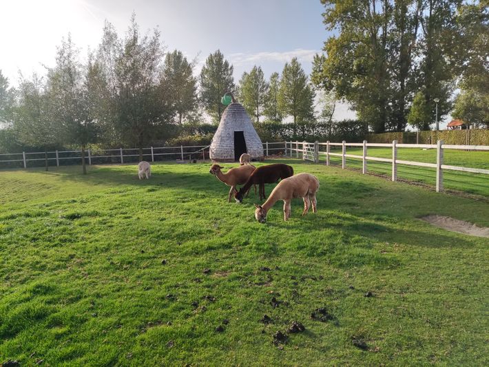 Camping de Boskreek