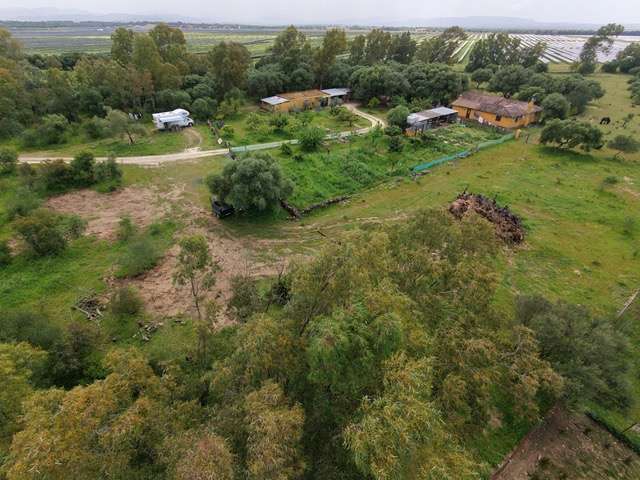 Rancho Belloto