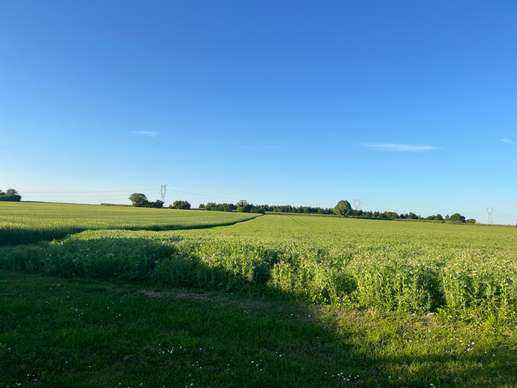 Added a photo to a location