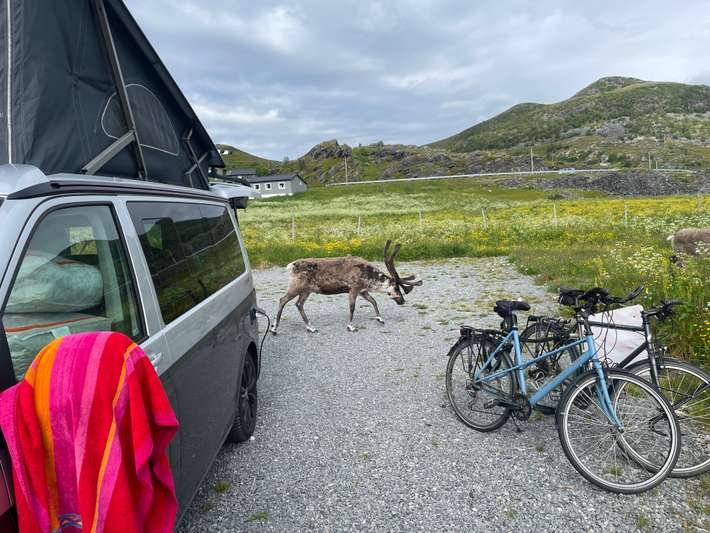 Sjøsamik Tun AS