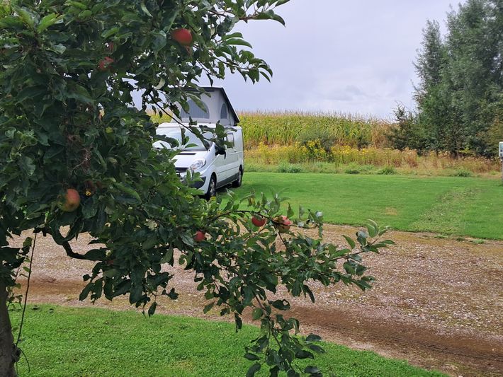 Camperplaats 't Haarlerveld