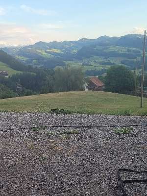Restaurant und Käserei Berghof