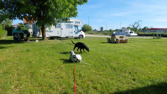 Camping de l'Esperance