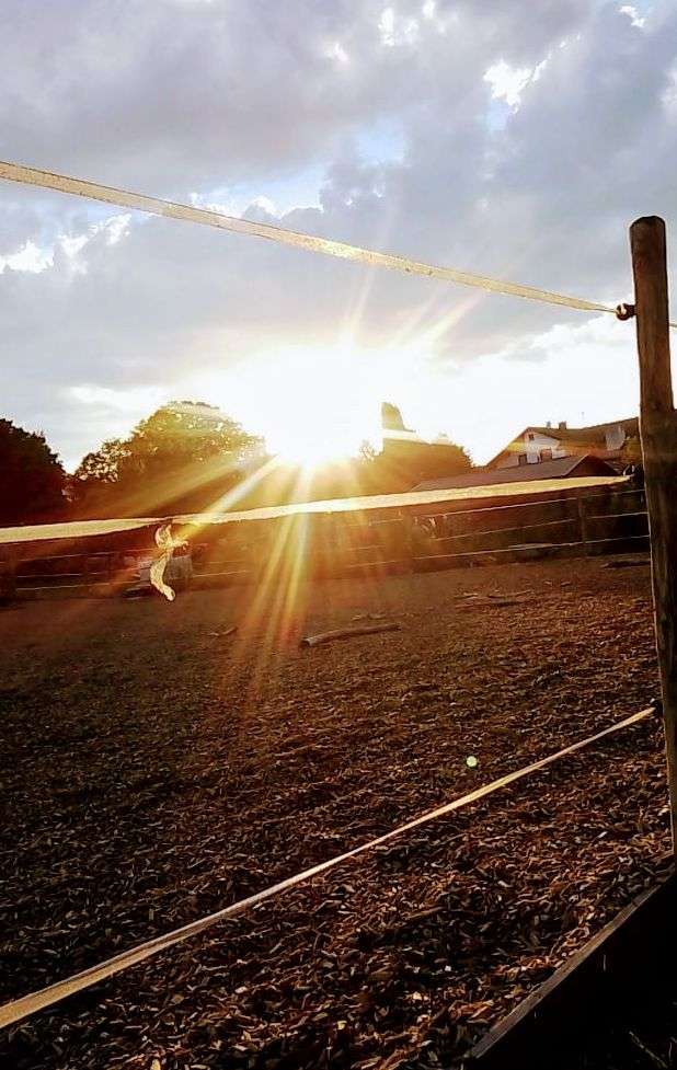 Wohnmobilstellplatz am Müllerhof Camping