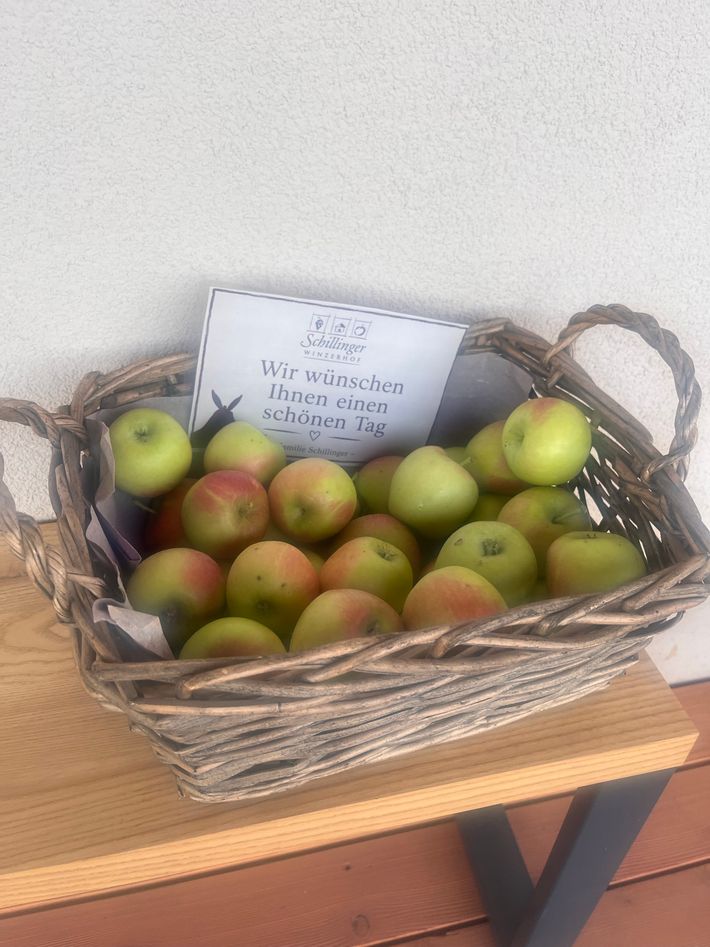 Wohnmobilstellplatz Winzerhof Schillinger