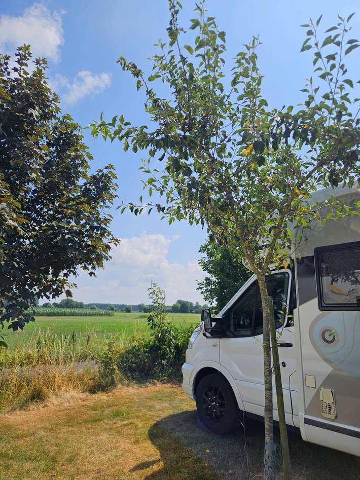Minicamping - Boerderij de IJsselhoeve