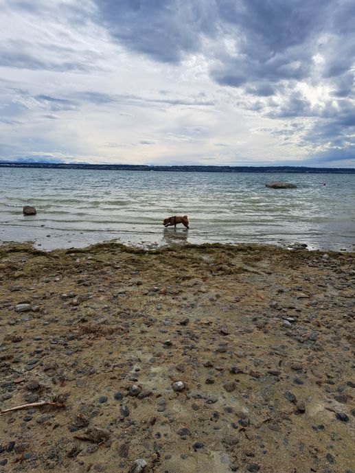Added a photo to a location