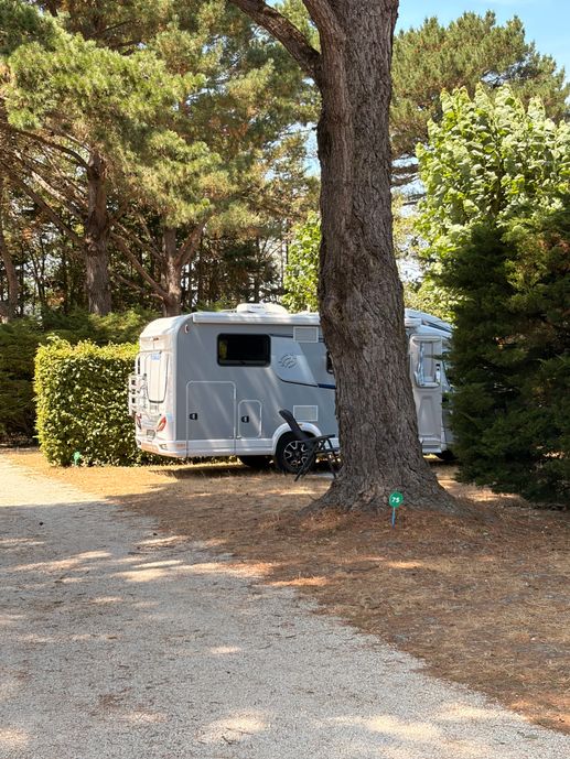 Een foto toegevoegd aan een locatie