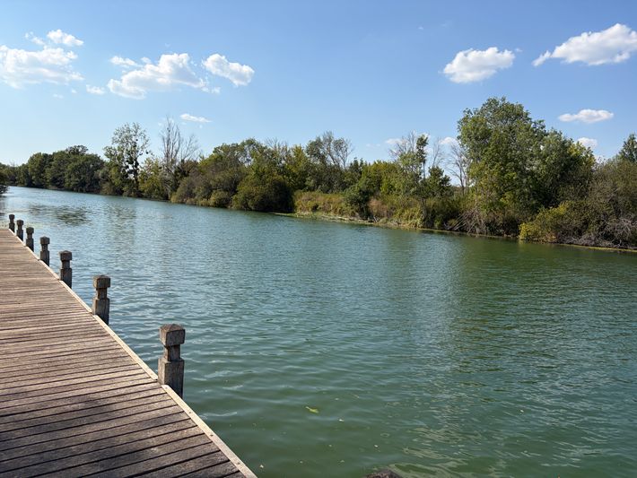 Le Port du Lys