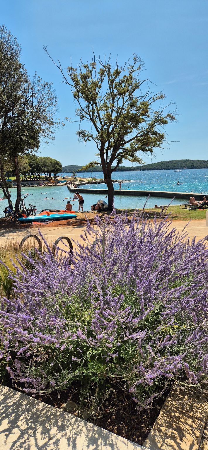 Naturist Kamp Koversada