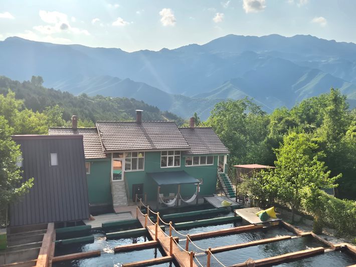 Bujtina Trofta Jone Camping