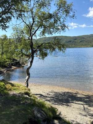 Mosvatnet [Gullingen]