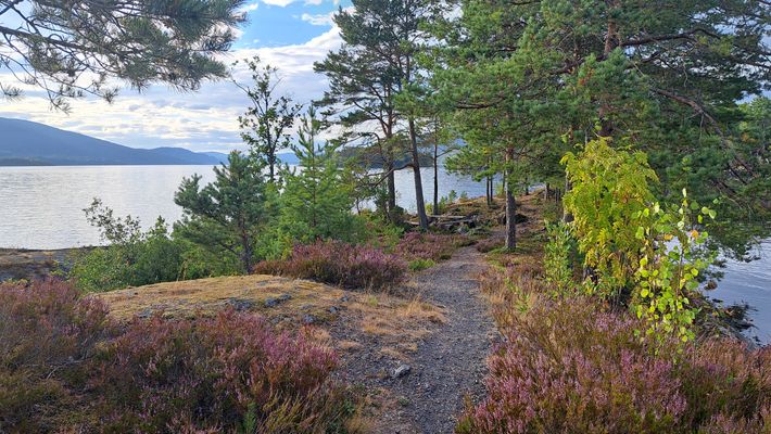 Eikernveien Camping