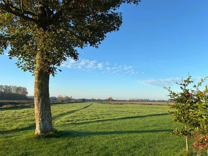 Camping De Knockaerthof