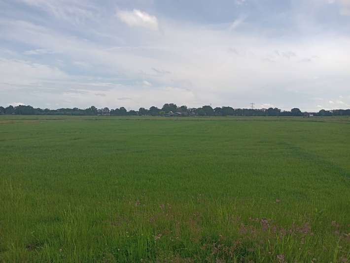 Camperplaats 't Hooge Laar