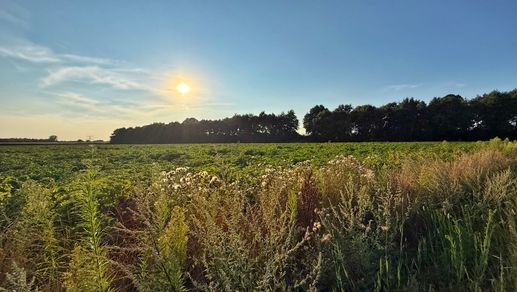 Een foto toegevoegd aan een locatie