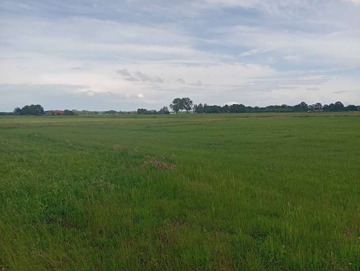 Camperplaats 't Hooge Laar