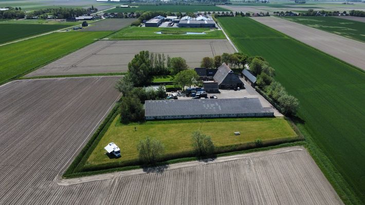 Tussen Wad en Dijk